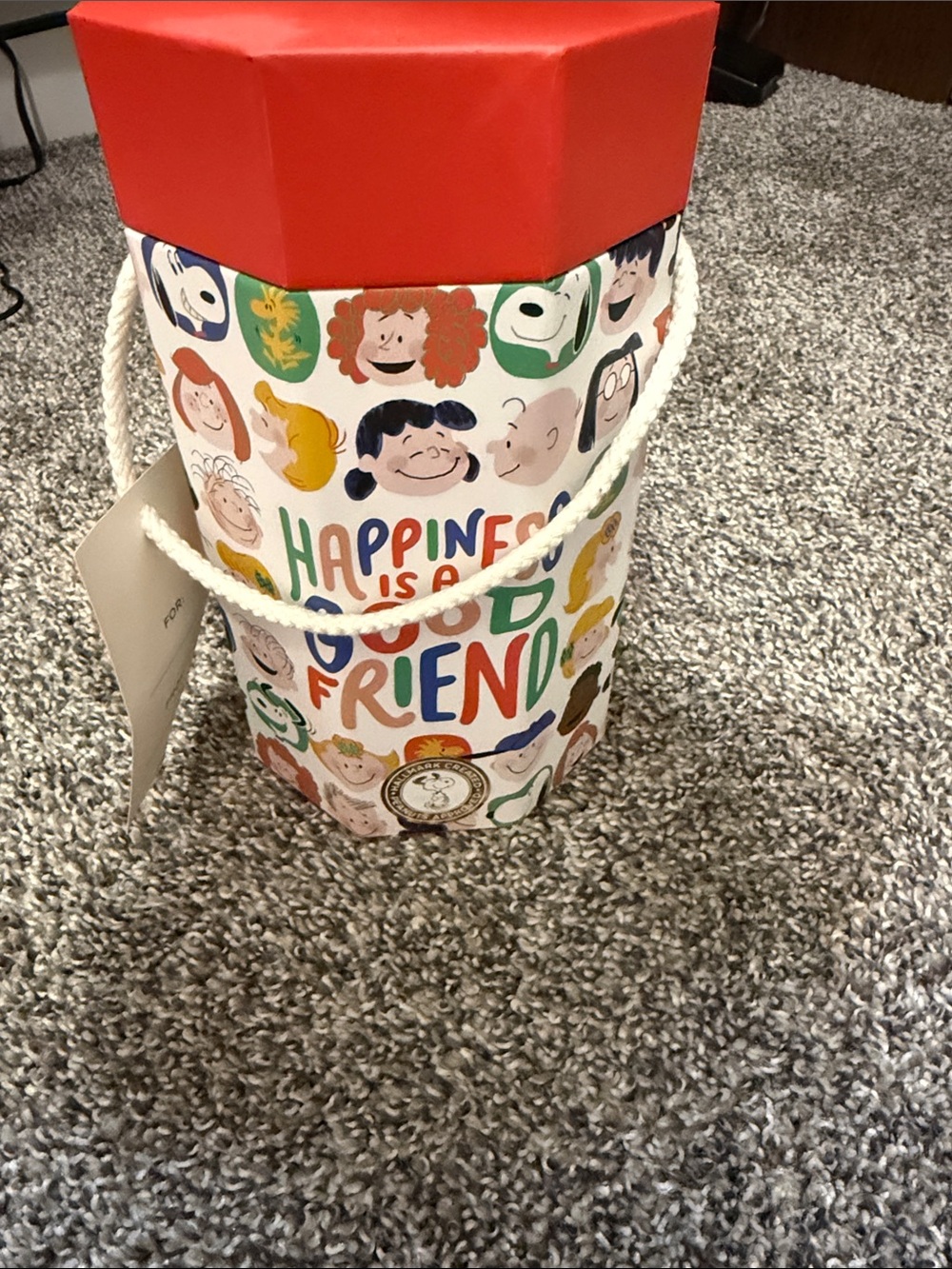 Peanuts Multicolor 'Happiness Is a Good Friend' Puzxle with Red Lid